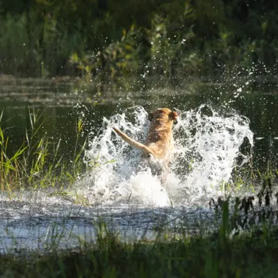 Fotograf: Thomas Lindy Nissen