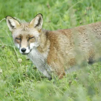 Fotograf: Niels Søndergaard