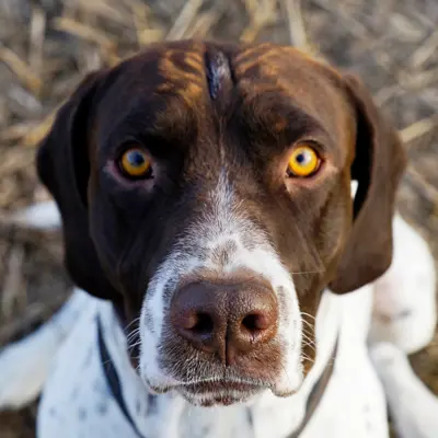 Fotograf: Jette Martinussen