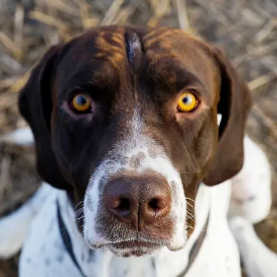 Fotograf: Jette Martinussen