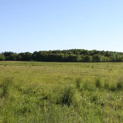 Fotograf: Danmarks Jægerforbund