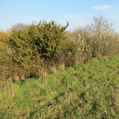 Fotograf: Thomas Iversen