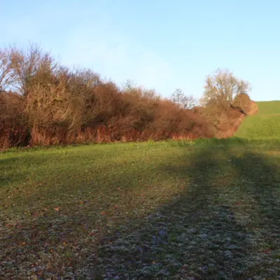 Fotograf: Thomas Iversen