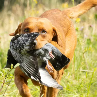 Fotograf: Thomas Lindy Nissen