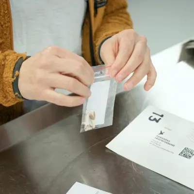 Fotograf: Søren Vendelbo