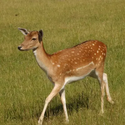 Fotograf: Niels Søndergaard
