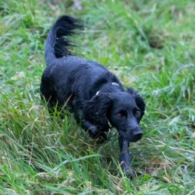 Fotograf: Claus Lind Christensen