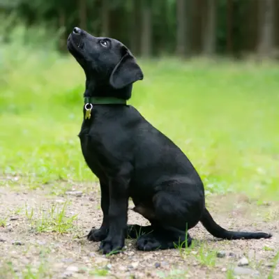 Fotograf: Jette Martinussen