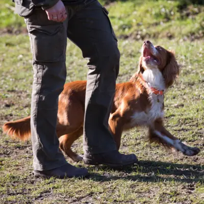 Fotograf: Flemming Højer