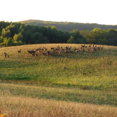 Fotograf: Zacharias Jacobsen
