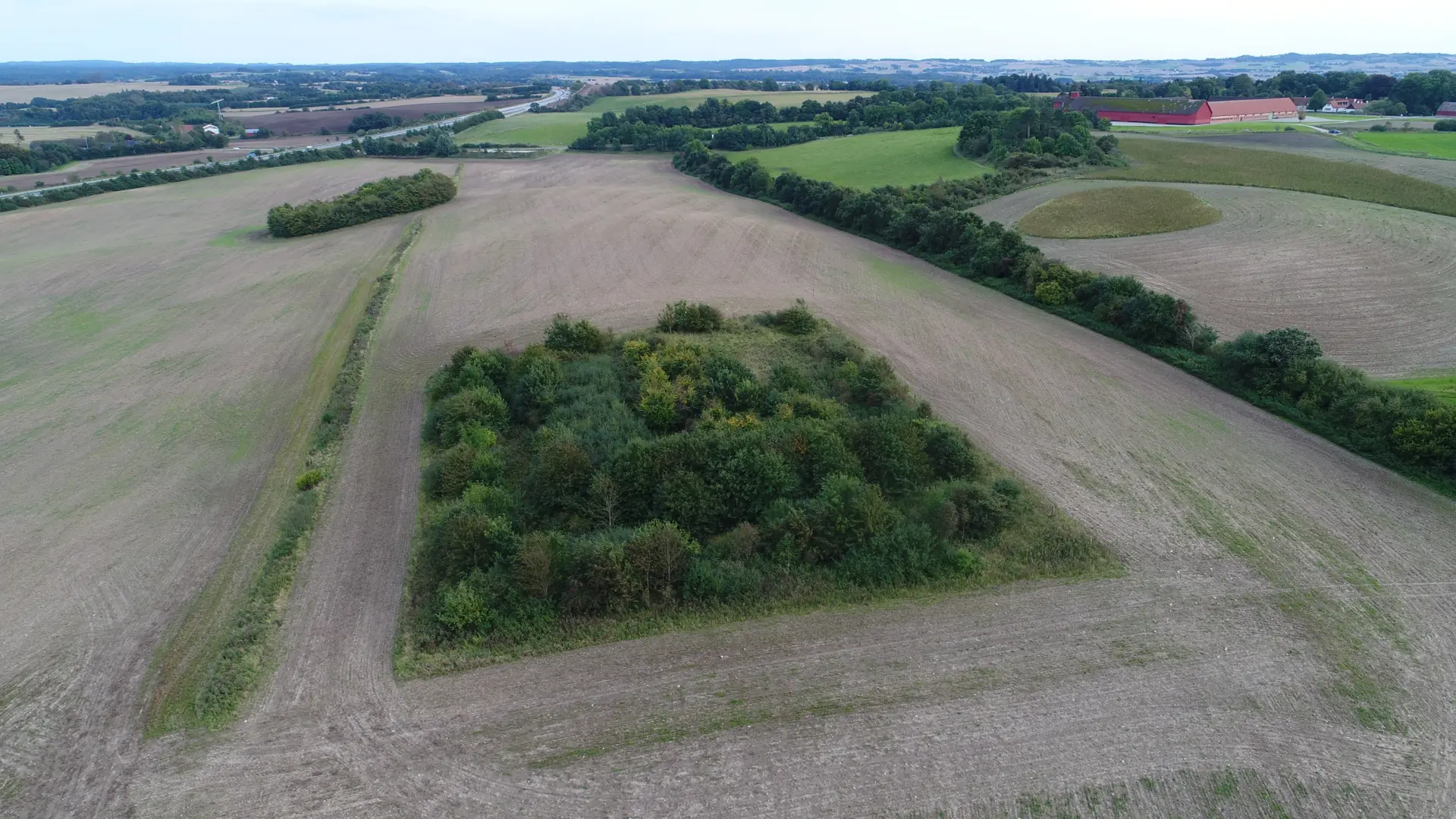 Remisse på Kalø Dronefoto.